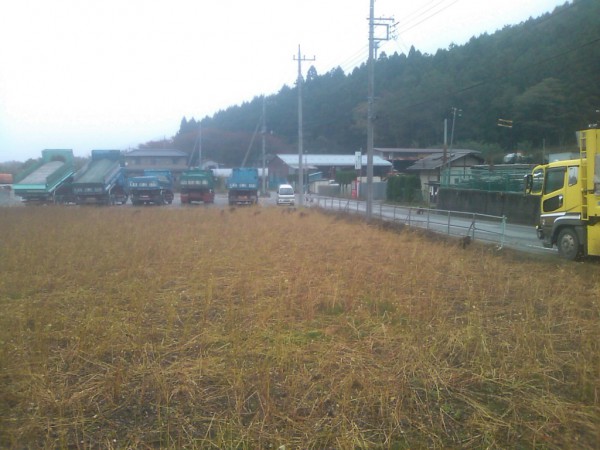 荒川るさお<img class=